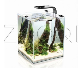 Креветкариум AquaEL SHRIMP SET SMART PLANT 20 чёрный с LED освещением, 20 л