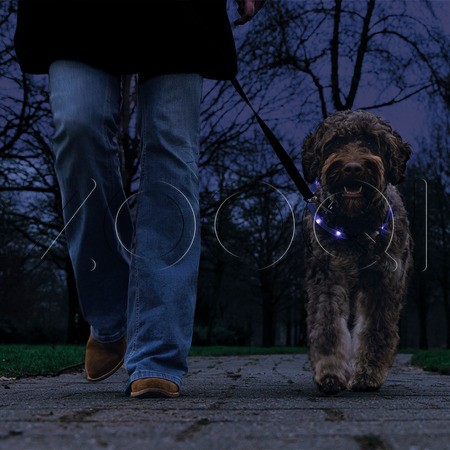 Beeztees Ошейник силиконовый для собак с подсветкой. Синий (35 см*10 мм)