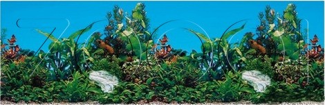 Trixie Фон для аквариума, двусторонний 60х30 см