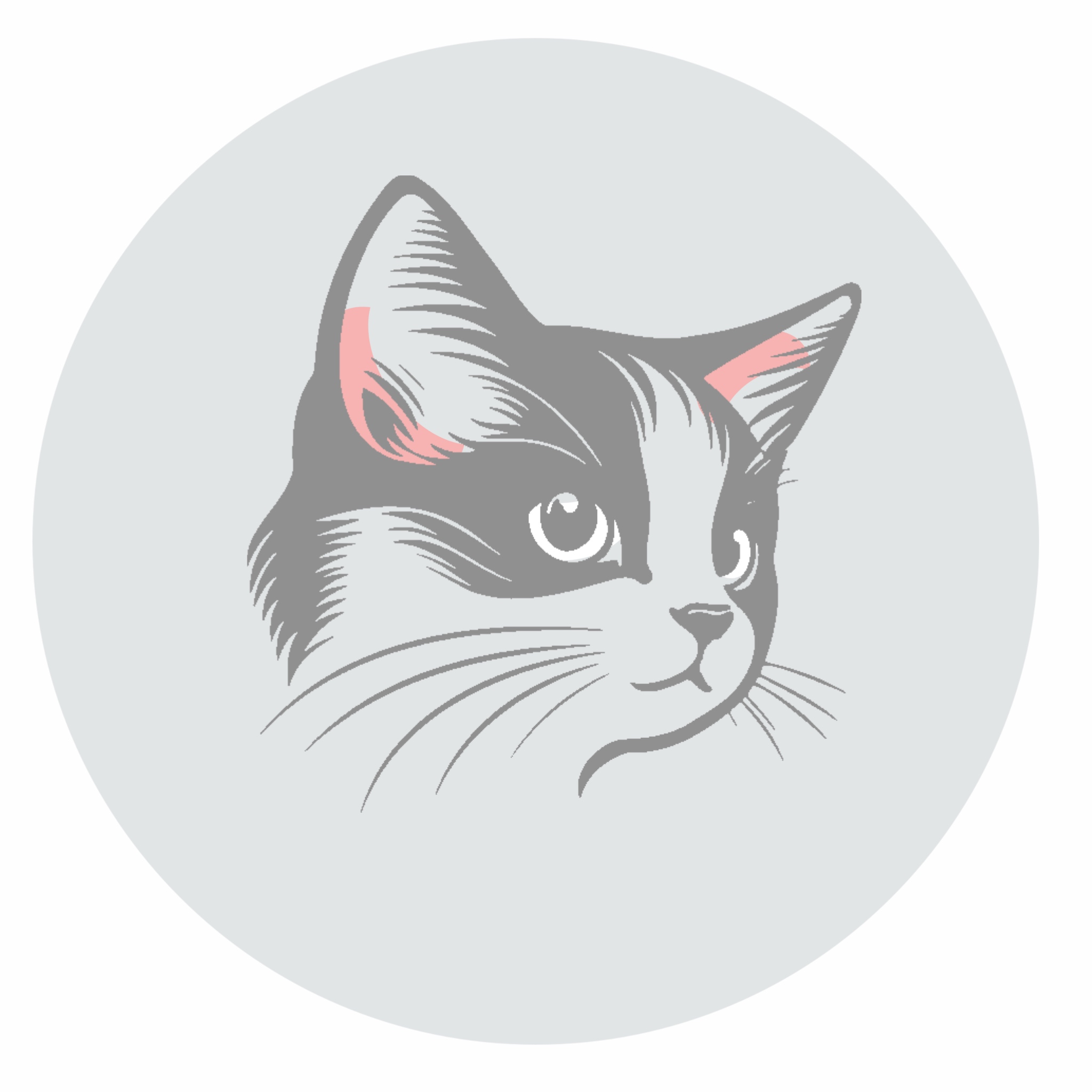Кошки