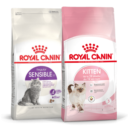 Две пачки сухого корма Royal Canin для кошек.