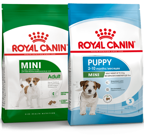 Две пачки сухого корма Royal Canin для собак.