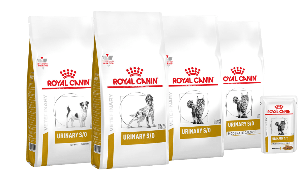 Корма Royal Canin Urinary для собак и кошек.