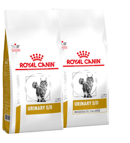 Корм Royal Canin Urinary для кошек.
