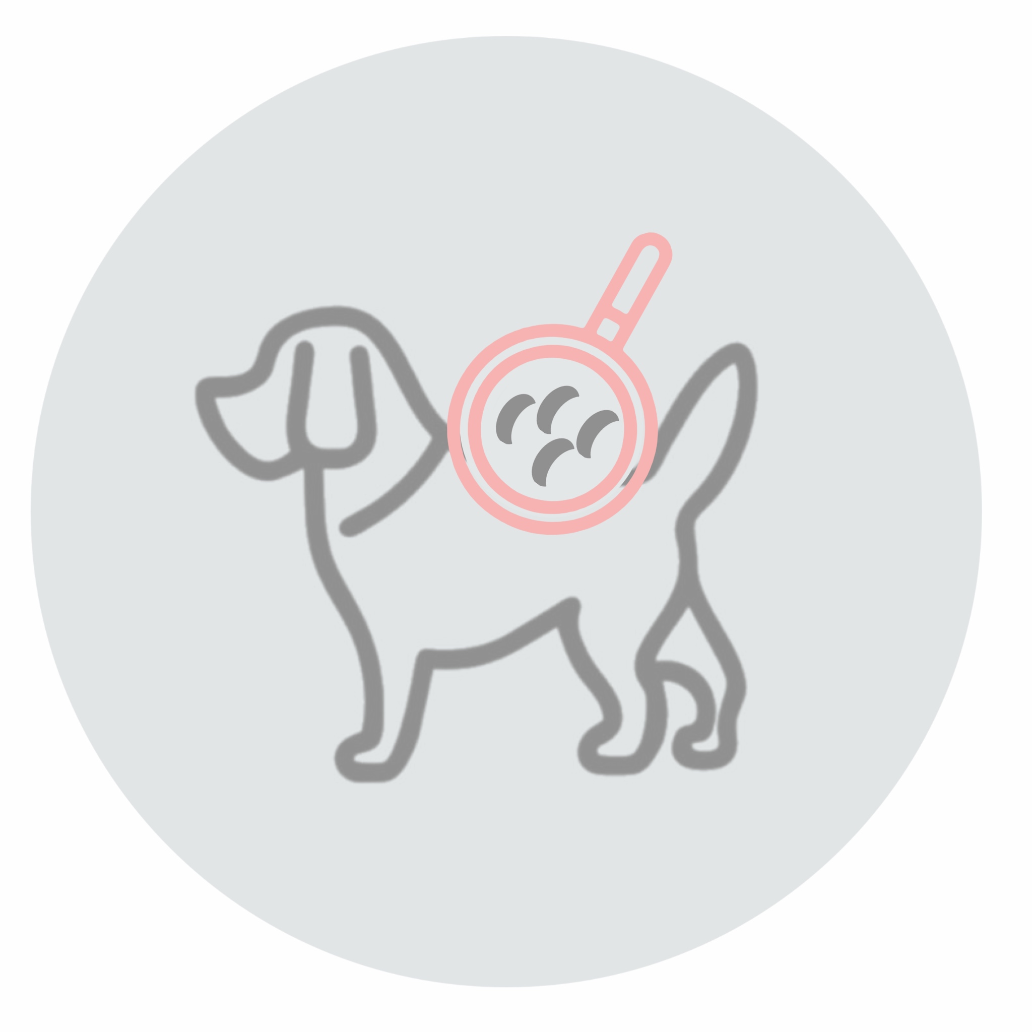 Для кожи и шерсти