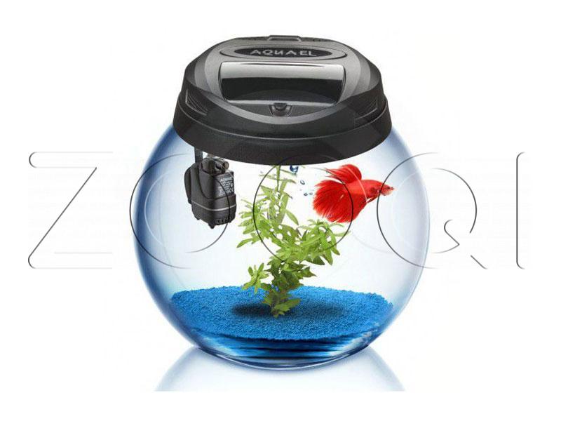 Фильтр для аквариума для петушка. Aquael аквариум круглый 50 литров. Aquael 7 аквариум. Крышка для круглого аквариума. Аквариум круглый 5 литров.