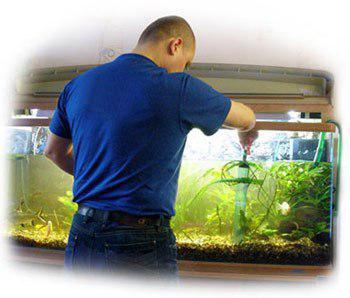 Обслуживание пресноводного аквариума