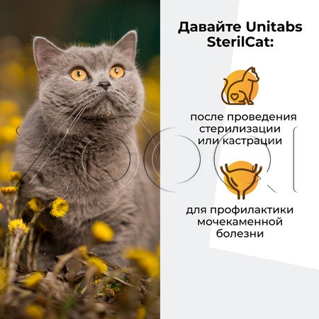 Unitabs SterilCat с Q10 для кошек