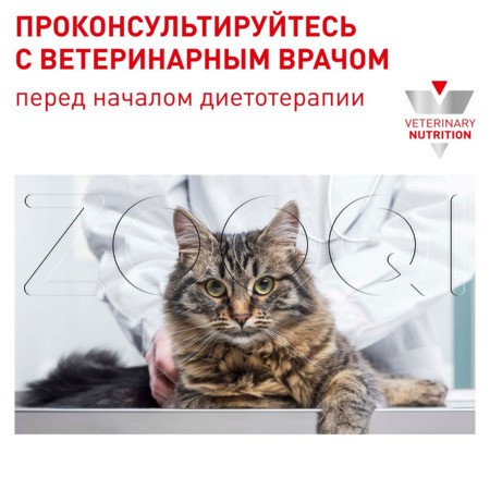 Royal Canin Mature Consult