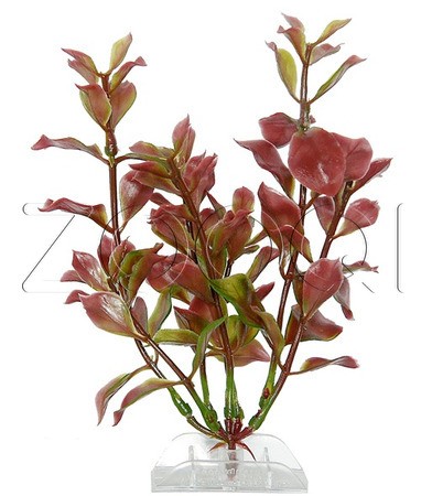 Tetra DecoArt Plant Red Ludwigia Людвигия 30 см