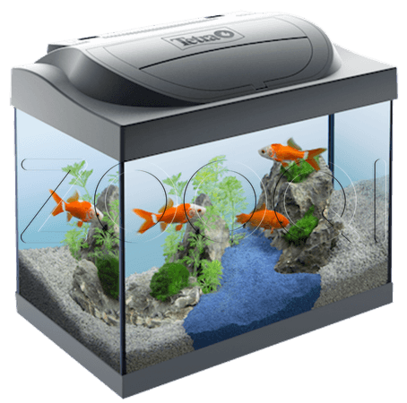Tetra Аквариумный комплект для золотых рыбок Starter Line LED Goldfish 30л
