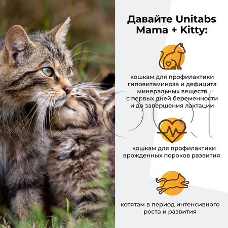 Unitabs Mama+Kitty c B9 для кошек и котят
