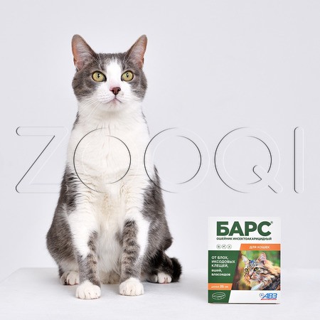 Барс Ошейник инсектоакарицидный для кошек