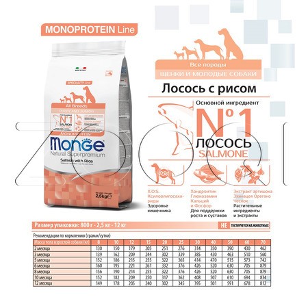 Корм Monge Dog Speciality Line Monoprotein Puppy & Junior для щенков (лосось, рис)
