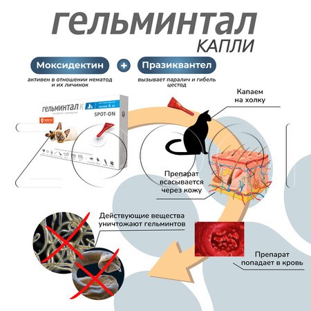 Гельминтал К Spot-on Капли для кошек