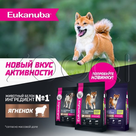 Корм Eukanuba для щенков (ягненок)
