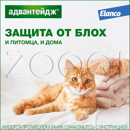 Адвантейдж Капли для котят и кошек