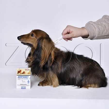 Диронет Спот-Он Капли для щенков, 4 пипетки