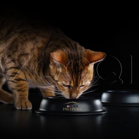 Корм Purina Pro Plan Delicate Digestion Adult для кошек (ягненок)