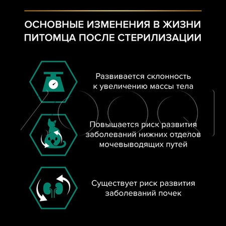 Пауч Purina Pro Plan Maintenance Sterilised Adult для кошек (кусочки с лососем в соусе), 85 г