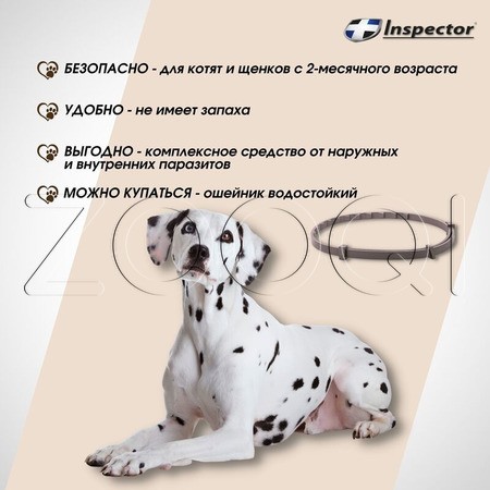 Инспектор Ошейник для крупных собак, 75 см