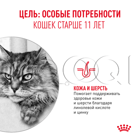 Пауч Royal Canin Ageing 11+ для кошек (кусочки в желе), 85 г