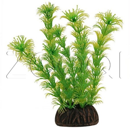 Laguna Растение 1367 "Амбулия" жёлто-зеленая, 100мм, (пакет)