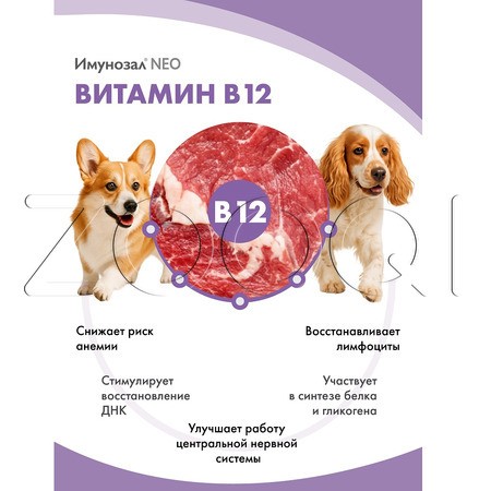 Имунозал NEO для средних и крупных собак, 6 табл