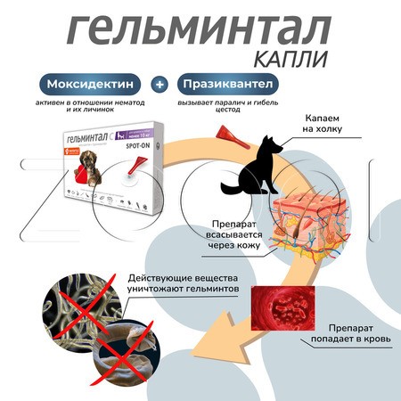 Гельминтал С Spot-on Капли для щенков и собак, 2 пипетки