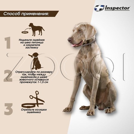 Инспектор Ошейник для крупных собак, 75 см