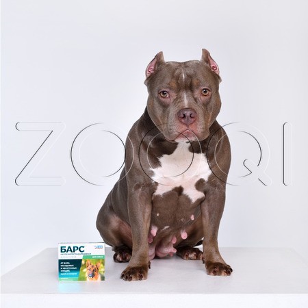 Барс Капли инсектоакарицидные для собак, 4 пипетки