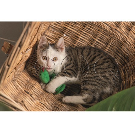 Beeztees Игрушка спираль «Змея» для кошек, 8 см