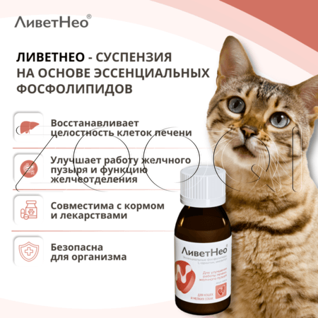 ЛиветНео для кошек и мелких собак, 50 мл