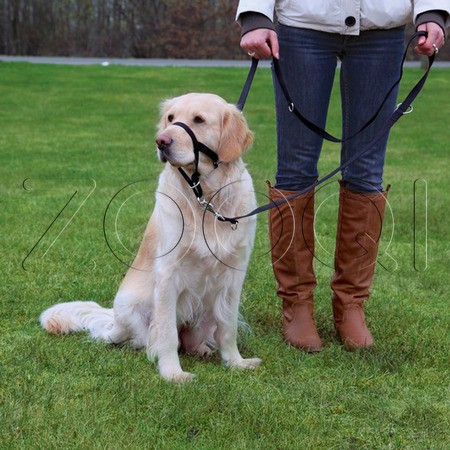 Trixie Шлея для собак для дрессировки «Top Trainer Training Harness»
