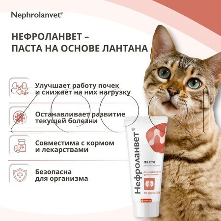 Нефроланвет Паста для кошек и собак, 75 г