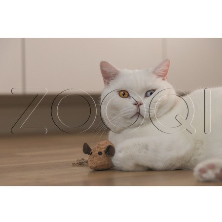 Beeztees Игрушка «Мышка с кошачьей мятой» для кошек, 6x16x5 см