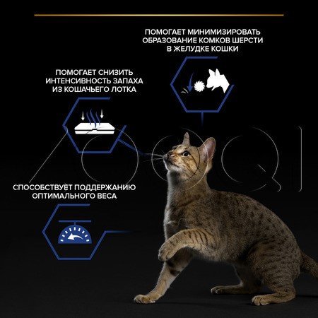 Purina Pro Plan Indoor Adult для взрослых домашних кошек (кусочки с лососем в соусе), 85 г