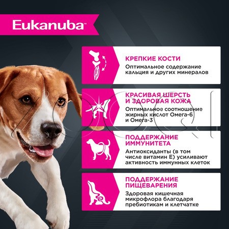 Пауч Eukanuba Adult 1+ years Lamb для собак (ягнёнок в соусе), 100 г