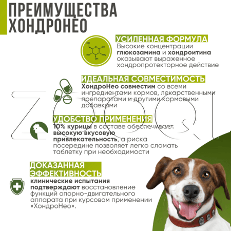 ХондроНео для кошек и собак, 30 табл