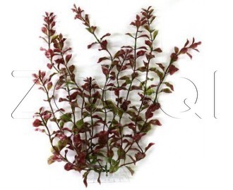 Искусственное растение Tetra Red Ludwigia №4 (38 см)