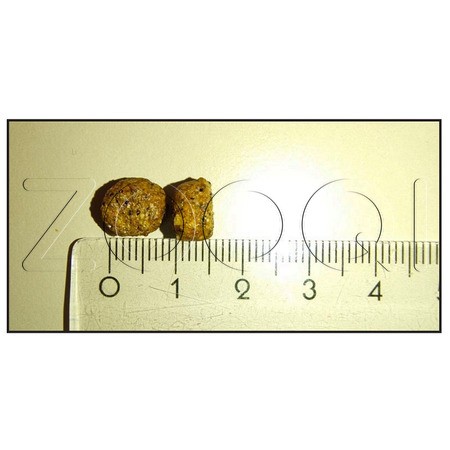 Корм Meglium Dog Adult Mini Sensible Beef & Rice для собак (говядина, рис)