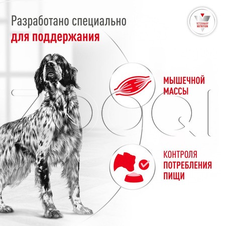 Паштет Royal Canin Glycobalance для собак (мясо), 195 г