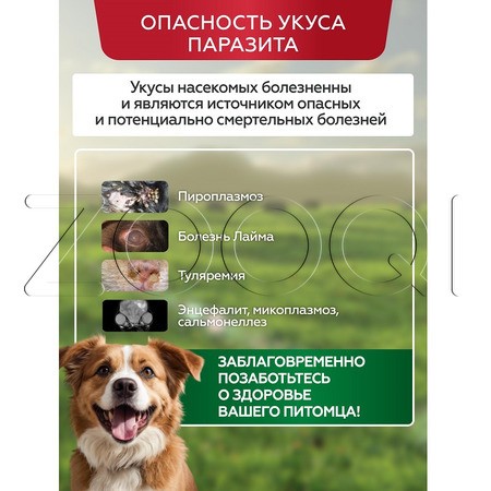 Чистотел Био Капли для средних и крупных собак, 2 пипетки