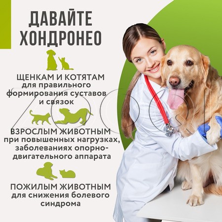 ХондроНео для кошек и собак, 30 табл