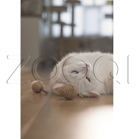 Beeztees Игрушка «Орех Терри» для кошек, 2 шт