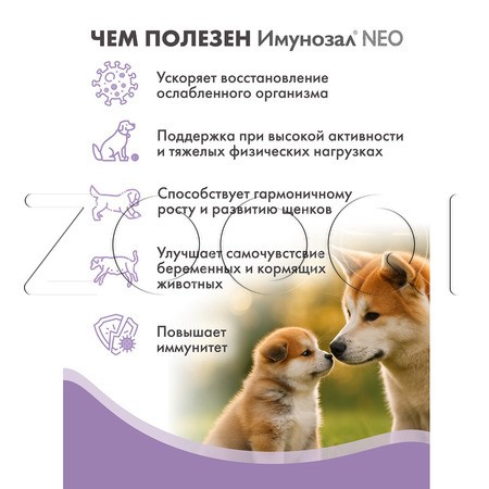 Имунозал NEO для средних и крупных собак, 6 табл