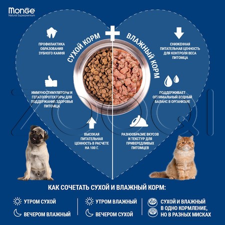 Monge Cat Monoprotein для взрослых кошек (мясные хлопья из мяса буйвола), 80 г