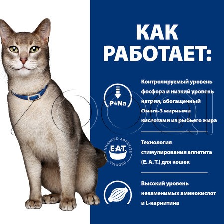 Hill's k/d Kidney Care для взрослых кошек при почечной недостаточности (говядина), 85 г