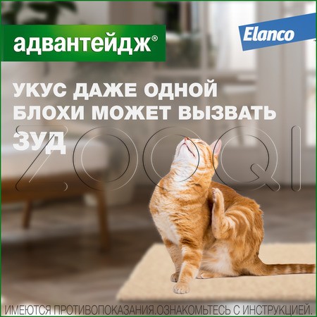 Адвантейдж Капли для котят и кошек