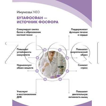 Имунозал NEO для средних и крупных собак, 6 табл